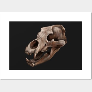 Cave Bear Skull Posters and Art